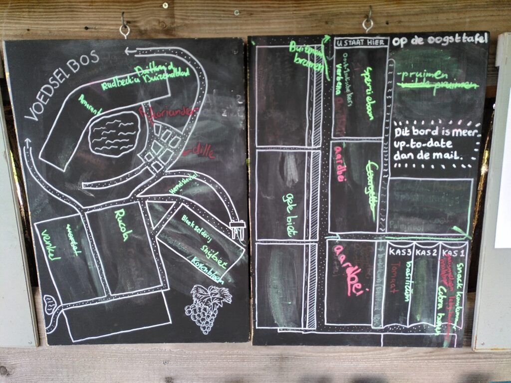 oogstbord
