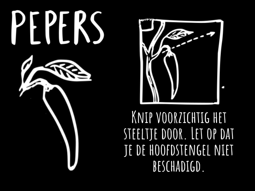 pepers