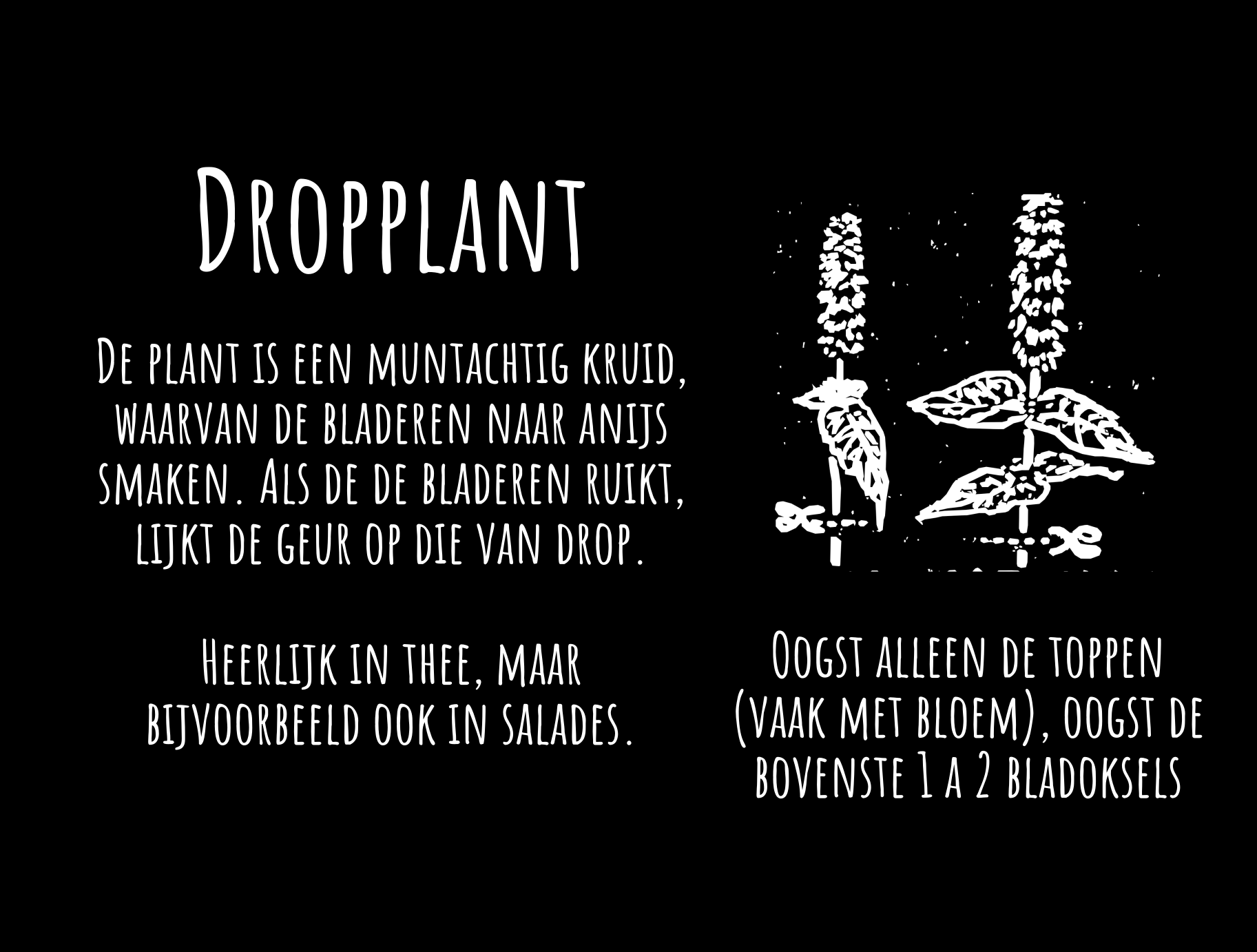 dropplant