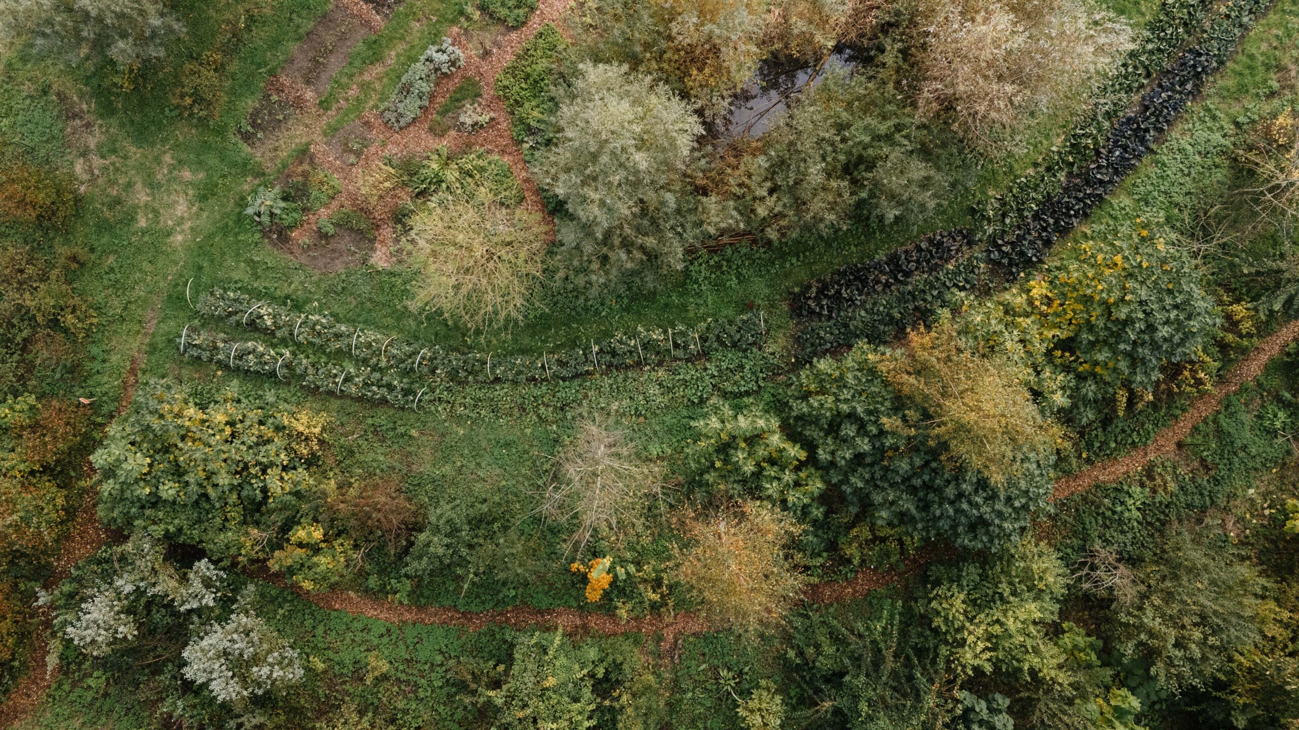 The Harvest Kitchens: Harvesting, cooking and eating together at the urban farm