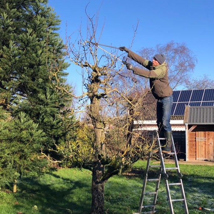 Workshop 'Appel & peer snoeien' 14 februari 13:00-15:30